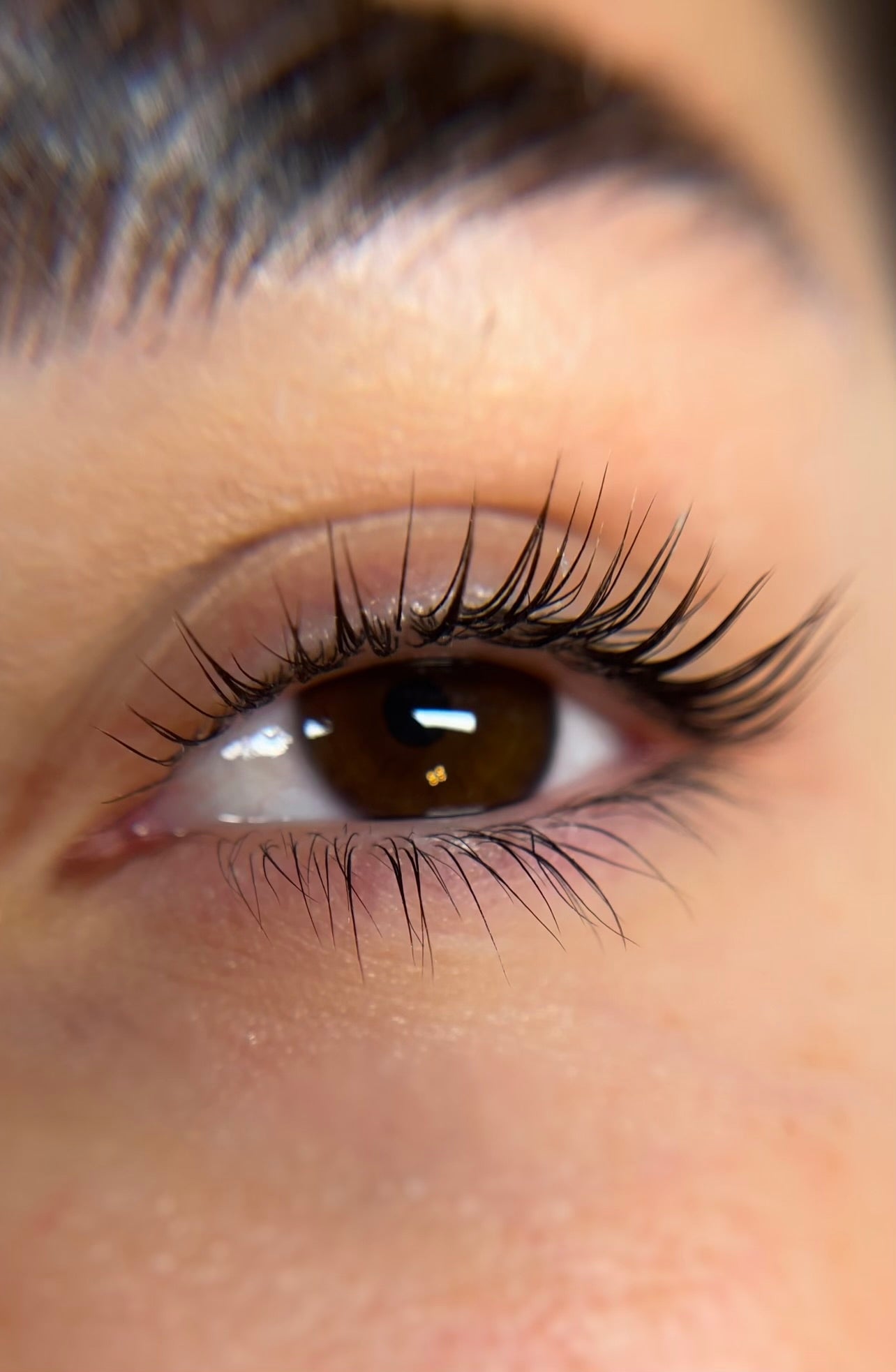 Lash Lift + Tint