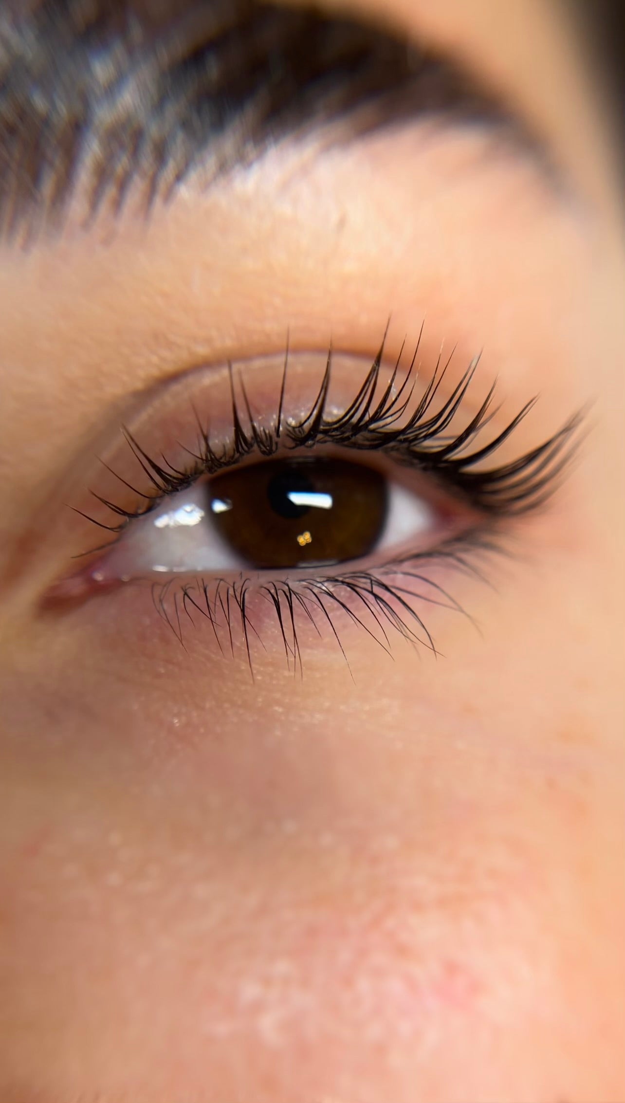 Lash Lift